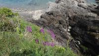 07-19_Pointe de Grouin.JPG &ndash; &copy; Birgit Janosch (Eberhardt TRAVEL)