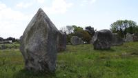 10-7_Menhirfeld bei Carnac.JPG &ndash; &copy; Birgit Janosch (Eberhardt TRAVEL)