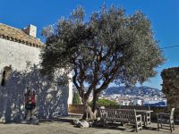 Tag 3 Cannes   &ndash; &copy; Gabriele Sauer (Eberhardt TRAVEL)
