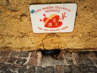 Tag 4 Monaco &ndash; &copy; Gabriele Sauer (Eberhardt TRAVEL)