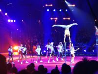 Tag 4 45. internationales Zirkusfestival, New Generation &ndash; &copy; Gabriele Sauer (Eberhardt TRAVEL)