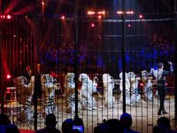 Tag 4 45. internationales Zirkusfestival, Bruno Togni &ndash; &copy; Gabriele Sauer (Eberhardt TRAVEL)