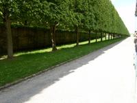 in Versailles &ndash; &copy; Barbara Pflicke (Eberhardt TRAVEL)
