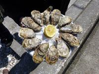 Austernteller &ndash; &copy; Claudia Bernhardt (Eberhardt TRAVEL)