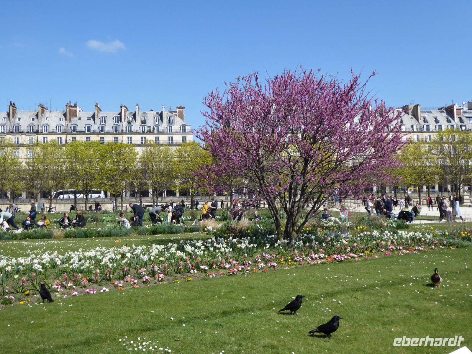 Tag 3 08.04.2023 Jardin des Tuileries &ndash; &copy; Gabriele Sauer (Eberhardt TRAVEL)
