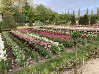 Chenonceau im Tulpenrausch &ndash; &copy; Roswitha Zytowski (Eberhardt TRAVEL)