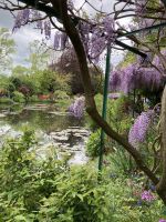 Giverny  &ndash; &copy; Roswitha Zytowski (Eberhardt TRAVEL)