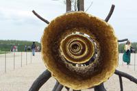 Versailles &ndash; &copy; Petra Sauer (Eberhardt TRAVEL)
