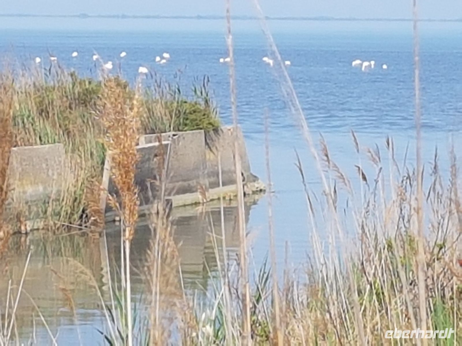 Camargue Etang du Vaccares &ndash; &copy; Beate Schroedter (Eberhardt TRAVEL)