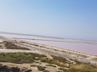 Saline de Giraud &ndash; &copy; Beate Schroedter (Eberhardt TRAVEL)