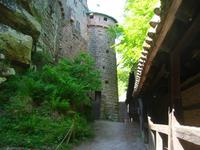 Haut Königsbourg