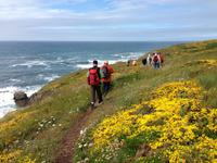 Wanderung zur Pointe du Raz &ndash; &copy; Birgit Janosch (Eberhardt TRAVEL)