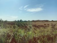 Camargue &ndash; &copy; Roswitha Zytowski (Eberhardt TRAVEL)