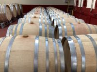 die Weine der Region Châteauneuf-du-Pape &ndash; &copy; Roswitha Zytowski (Eberhardt TRAVEL)