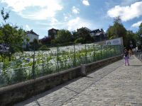Tag 5 Entdeckerspaziergang auf dem Montmartre   &ndash; &copy; Gabriele Sauer (Eberhardt TRAVEL)