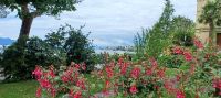 Uferpromenade Montreux &ndash; &copy; Ute Solf (Eberhardt TRAVEL)