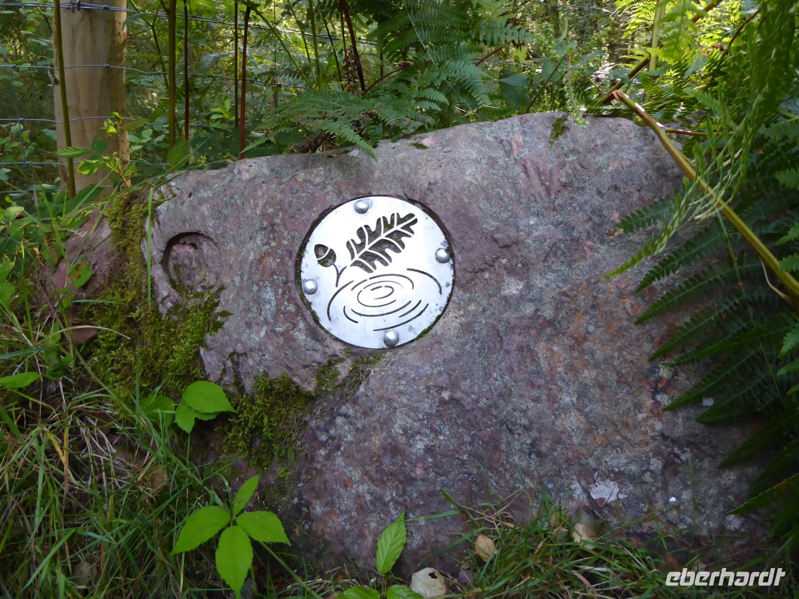 Tag 3 07.08.2023 Wanderung im Wald Brocéliande &ndash; &copy; Gabriele Sauer (Eberhardt TRAVEL)