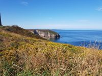 Cap Fréhel &ndash; &copy; Beate Schroedter (Eberhardt TRAVEL)