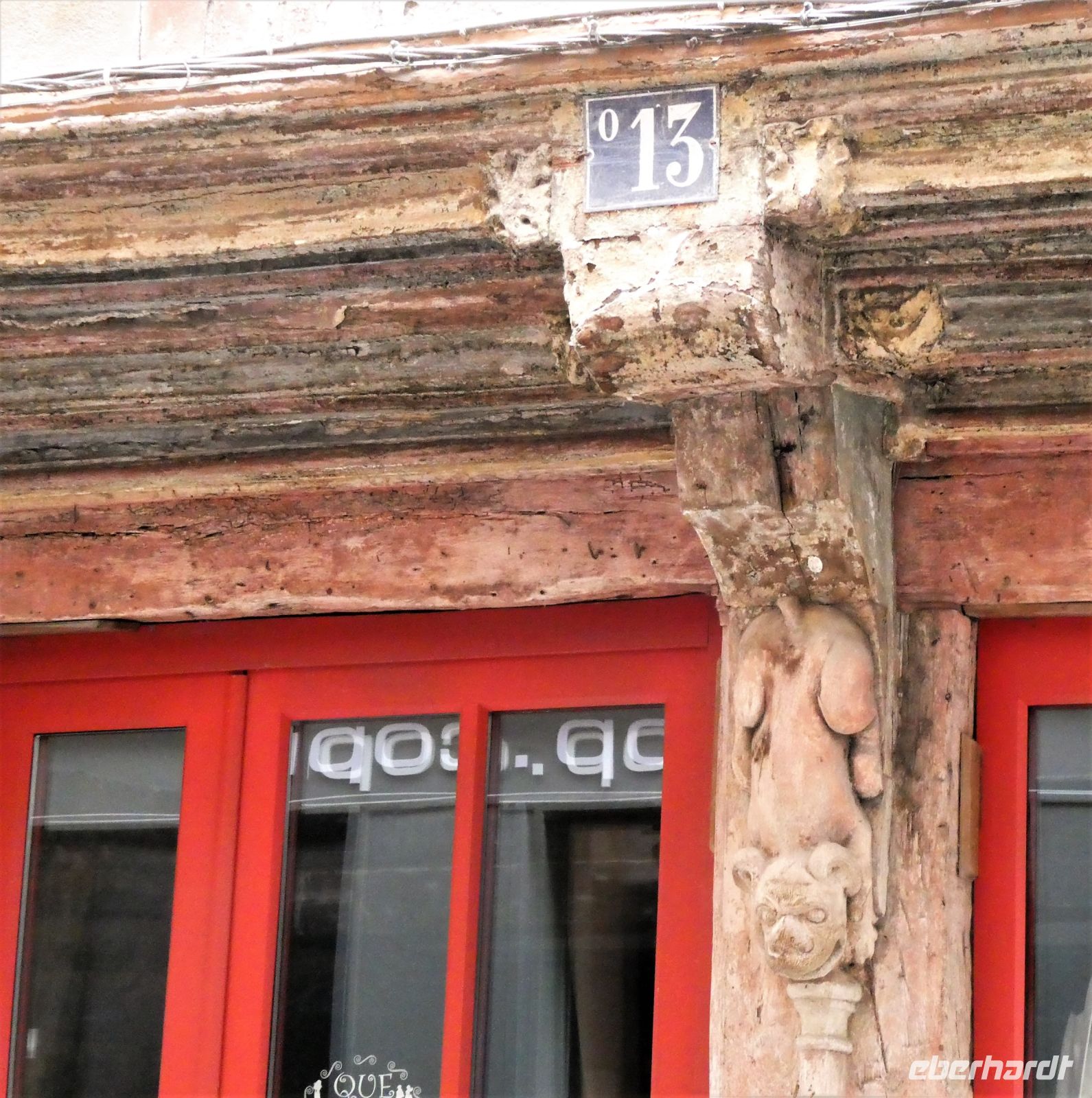 Löwendetail &ndash; &copy; Gina Egenolf (Eberhardt TRAVEL)