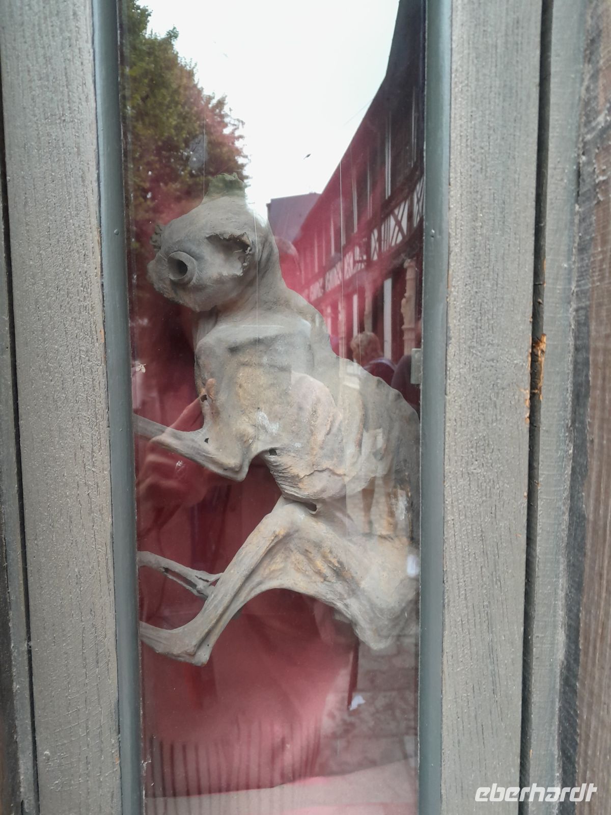 Katze gegen das Böse &ndash; &copy; Gina Egenolf (Eberhardt TRAVEL)