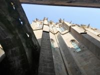 Blick in die Höhe &ndash; &copy; Gina Egenolf (Eberhardt TRAVEL)