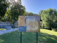 Vernon &ndash; &copy; Roswitha Zytowski (Eberhardt TRAVEL)
