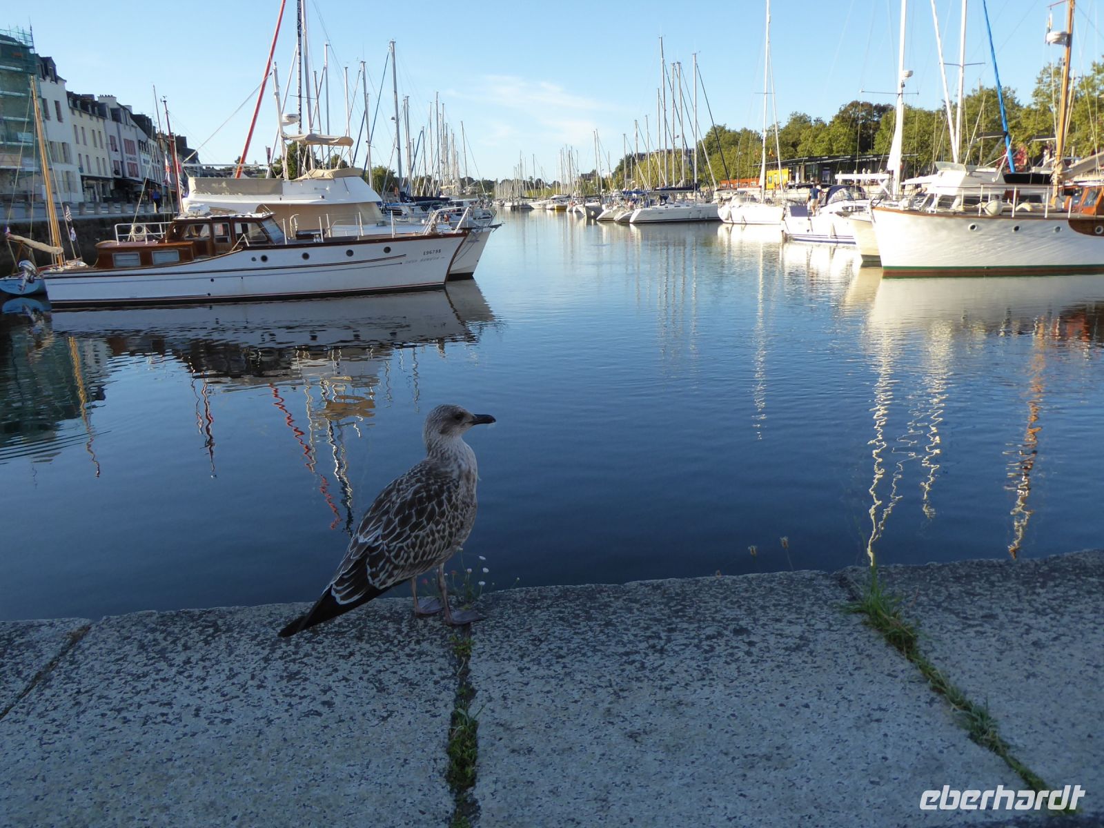 Tag 3 21.08.2023 Stadtführung in Vannes, Hafenbecken &ndash; &copy; Gabriele Sauer (Eberhardt TRAVEL)