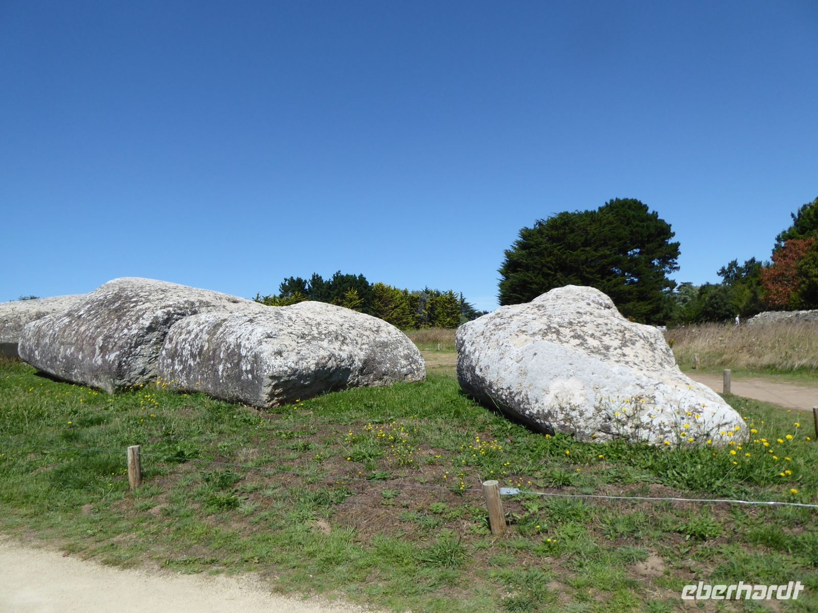Tag 4 22.03.2023 Locmariaquer,  Menhir Brisé  &ndash; &copy; Gabriele Sauer (Eberhardt TRAVEL)