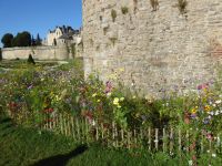 Tag 3 21.08.2023 Stadtführung in Vannes  &ndash; &copy; Gabriele Sauer (Eberhardt TRAVEL)