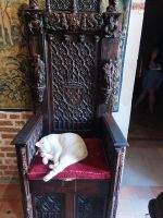 Château Clos Lucé: Die Hauskatze - heute mal nicht auf Leonardos Bett &ndash; &copy; Dieter Braune (Eberhardt TRAVEL)