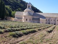 Abtei von Sénanque &ndash; &copy; Beate Schroedter (Eberhardt TRAVEL)