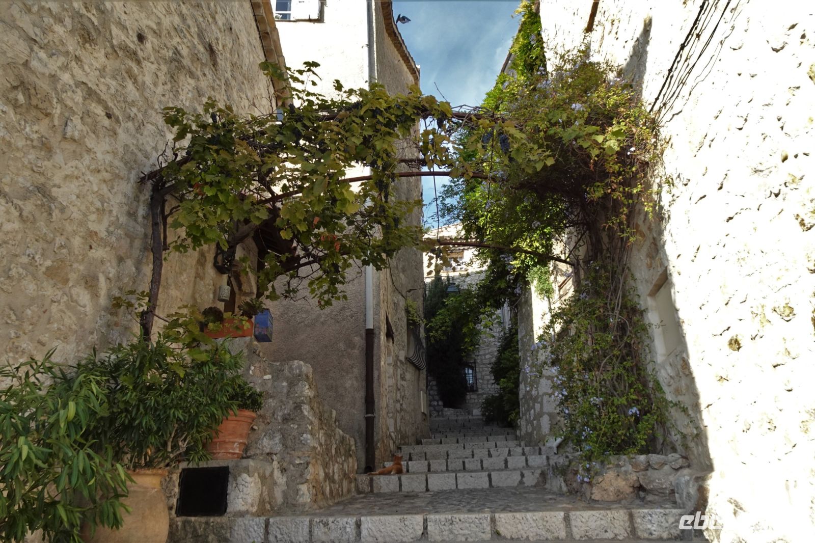Tag 5 06.10.2023 St. Paul de Vence   &ndash; &copy; Gabriele Sauer (Eberhardt TRAVEL)