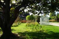 Tag 2 03.10.2023 Nizza, Cimiez &ndash; &copy; Gabriele Sauer (Eberhardt TRAVEL)