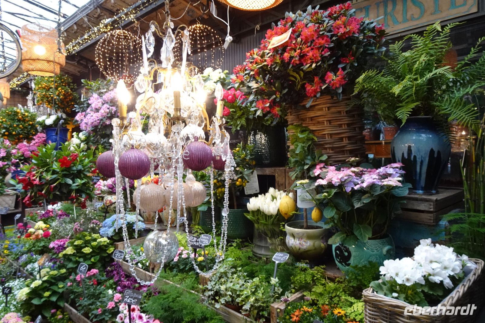 Tag 1, 28.03.2024 Entdeckerspaziergang, Blumenmarkt &ndash; &copy; Gabriele Sauer (Eberhardt TRAVEL)