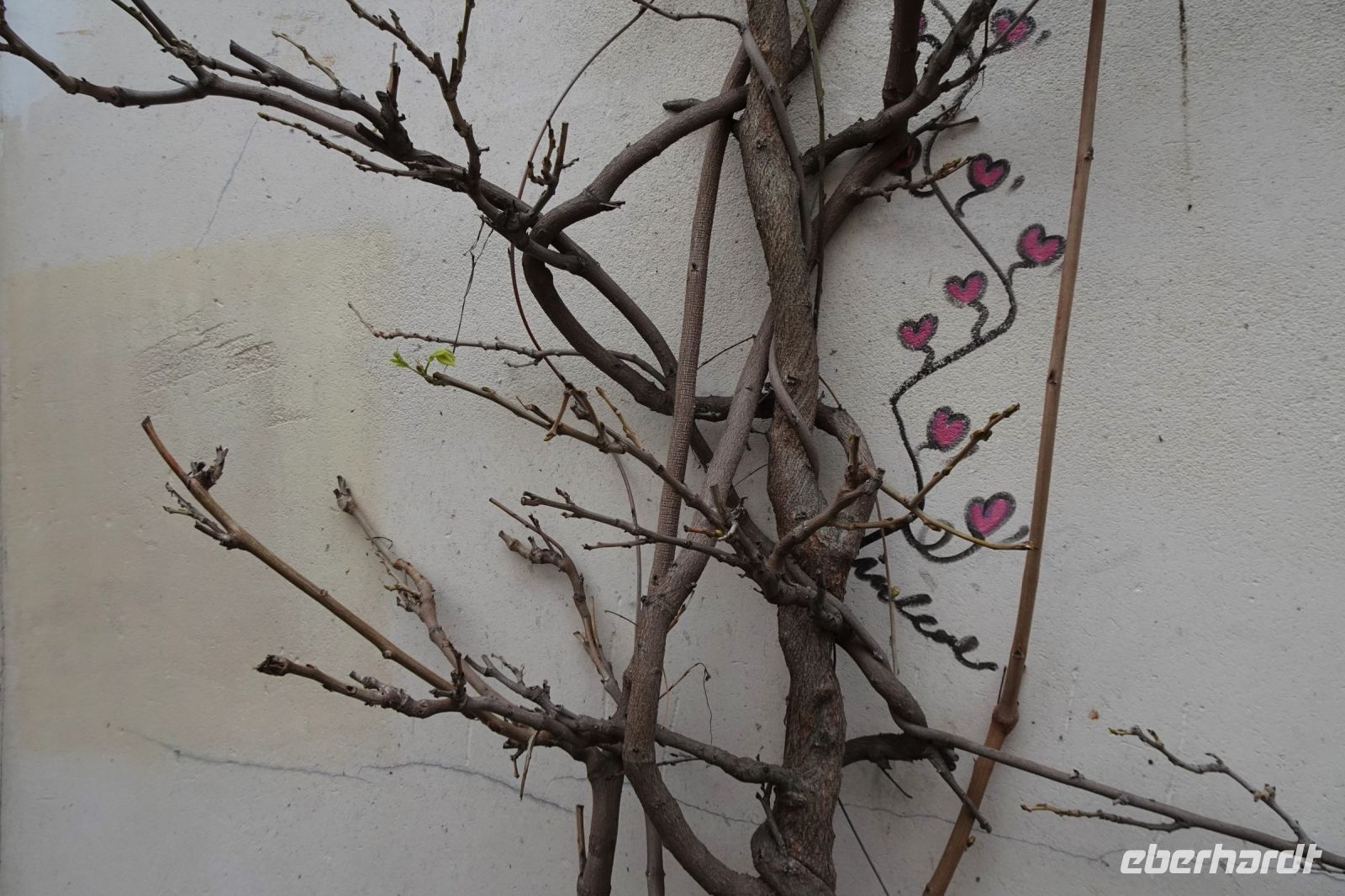 Tag 4 31.03.2024, Street Art &ndash; &copy; Gabriele Sauer (Eberhardt TRAVEL)