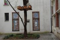 Tag 2, 29.03.2024 Stadtrundfahrt, Village St. Paul &ndash; &copy; Gabriele Sauer (Eberhardt TRAVEL)