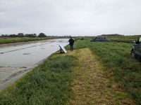 Salzgarten auf der Ile de Noirmoutier.jpg &ndash; &copy; Dr. Michael Krause (Eberhardt TRAVEL)