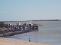 Setznetze am Strand von Fouras.JPG &ndash; &copy; Dr. Michael Krause (Eberhardt TRAVEL)
