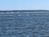 Bassin von Archacon.jpg &ndash; &copy; Dr. Michael Krause (Eberhardt TRAVEL)