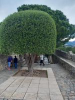 Saint-Paul-de-Vence &ndash; &copy; Wolfgang Kowalewski (Eberhardt TRAVEL)