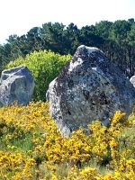 Carnac &ndash; &copy; Wolfgang Kowalewski (Eberhardt TRAVEL)