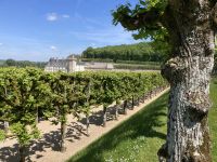 Villandry &ndash; &copy; Roswitha Zytowski (Eberhardt TRAVEL)