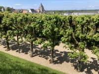 Villandry