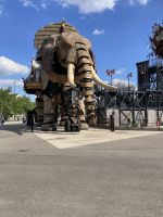 Nantes - auf Safari &ndash; &copy; Roswitha Zytowski (Eberhardt TRAVEL)