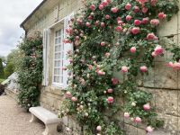 Usse‘ &ndash; &copy; Roswitha Zytowski (Eberhardt TRAVEL)