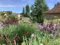 Azay-le-Rideau &ndash; &copy; Roswitha Zytowski (Eberhardt TRAVEL)