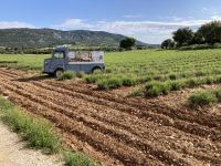 Im Tal der Ardèche &ndash; &copy; Roswitha Zytowski (Eberhardt TRAVEL)