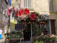 Avignon &ndash; &copy; Roswitha Zytowski (Eberhardt TRAVEL)