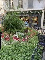 Avignon &ndash; &copy; Roswitha Zytowski (Eberhardt TRAVEL)