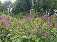Jersey Domaine de Vaux &ndash; &copy; Beate Schroedter (Eberhardt TRAVEL)